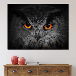 Black & White Owl with Orange Eyes - NicheCanvas