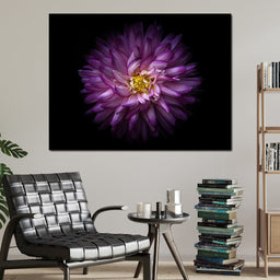 Backyard Flowers Series 1 - Brian Carson - NicheCanvas