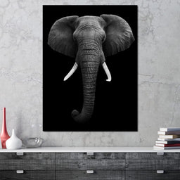 Black and White Elephant Face - NicheCanvas