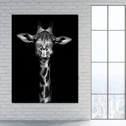 Black and White Giraffe - NicheCanvas