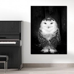 Black and White Snowy Owl - NicheCanvas