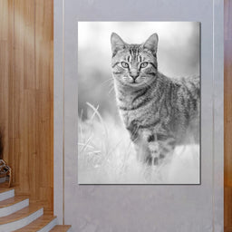 Black & White Kitty Cat - Ben Heine - NicheCanvas