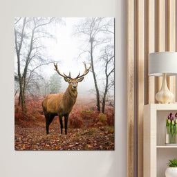 Red Deer Stag - NicheCanvas