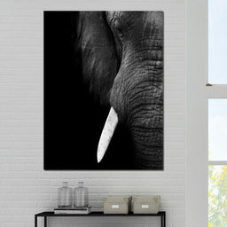 Black and White Elephant Close up - NicheCanvas