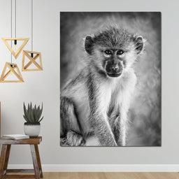 Monkey in Black & White - NicheCanvas