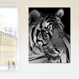 Black and White Tiger with Yellow Eyes - NicheCanvas