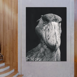 Black and White Shoebill Stork - NicheCanvas