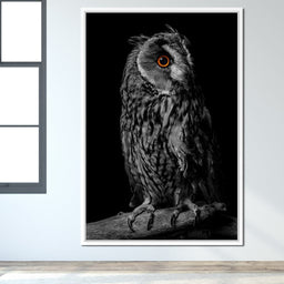 Black & White Owl - NicheCanvas