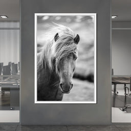 Icelandic Horse - NicheCanvas