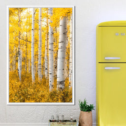 Yellow Forest - Colorado - Lucas Moore - NicheCanvas