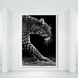 Black and white Leopard - NicheCanvas