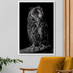 Black & White Owl - NicheCanvas