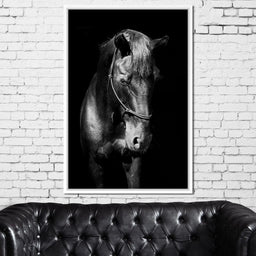Black & White Horse Head - NicheCanvas