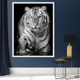 Blue Eyed Snow Tiger - NicheCanvas