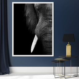 Black and White Elephant Close up - NicheCanvas