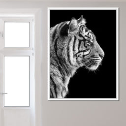 Black and White Sumatran Tiger - NicheCanvas