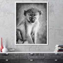 Monkey in Black & White - NicheCanvas