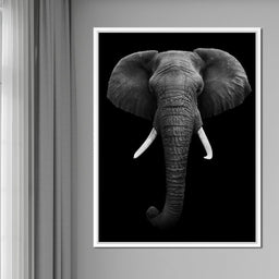 Black and White Elephant Face - NicheCanvas