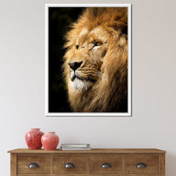 Lion View - Milos Karanovic - NicheCanvas