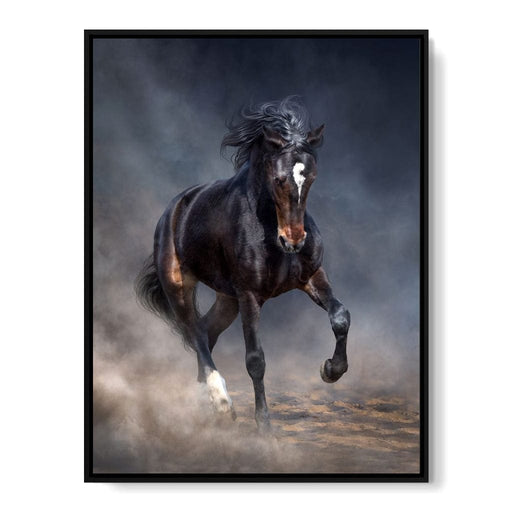 Wild Horse Canvas Print