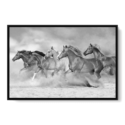 Black & White Horses Heard - Canvas Print - stunning wall decor of wild horses running - this black and white canvas painting is perfect to hang in your office | NicheCanvas