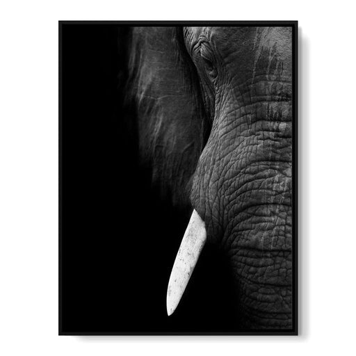 Black and White Elephant Close up Canvas Print