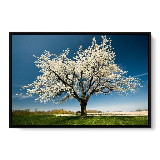 White Tree Canvas Print