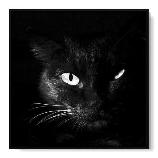 Black and White Cat Canvas Print
