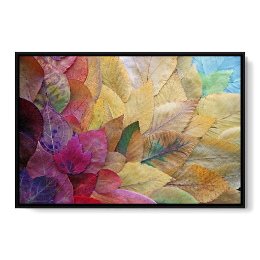Fallen Autumn Leaves Canvas Print