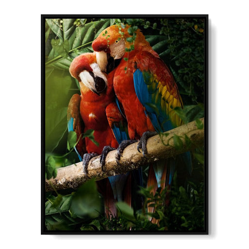 Beautiful Parrots - Milos Karanovic Canvas Print
