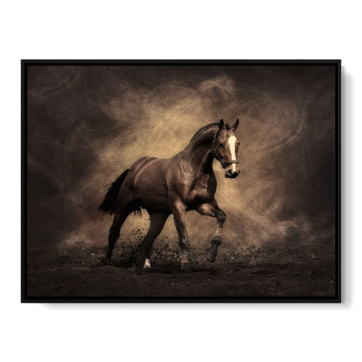 Brown Horse Canvas Print