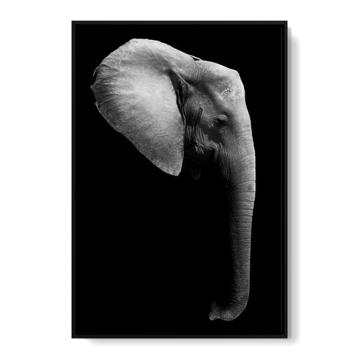 Black and White Elephant Head Canvas Print