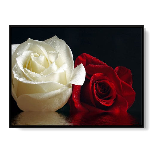 Red & White Roses Reflection Canvas Print