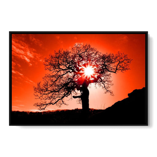 Red Dusk Canvas Print