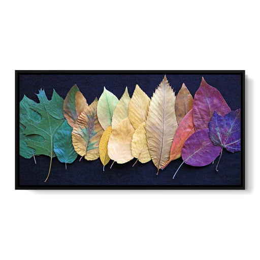 Colorful Leaves Canvas Print
