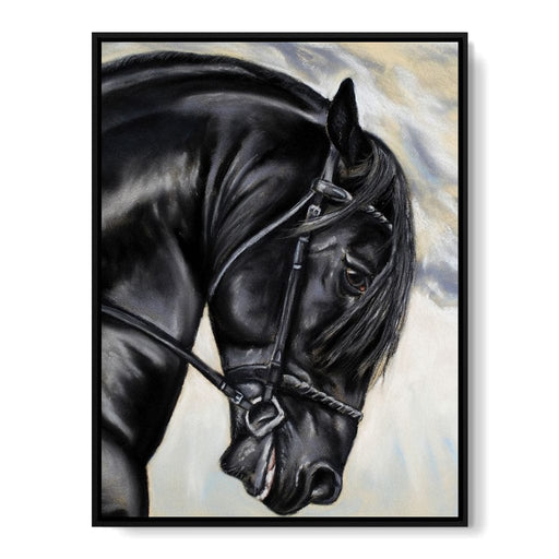 Black Friesian Horse Canvas Print