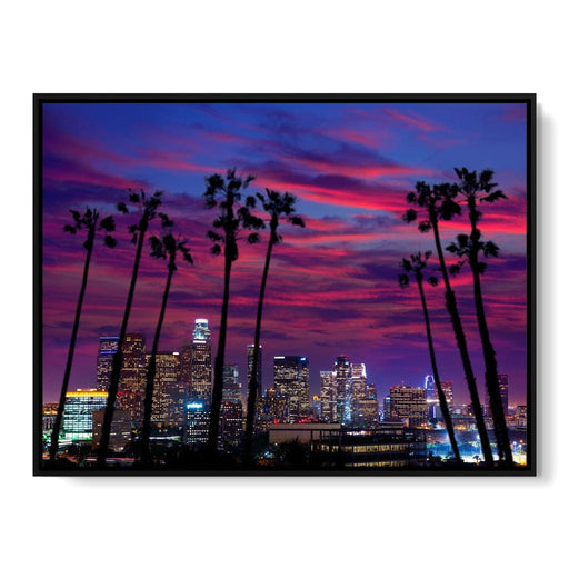 Downtown LA Canvas Print