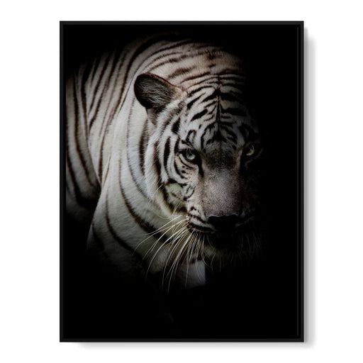 Black and White Tiger Canvas Print