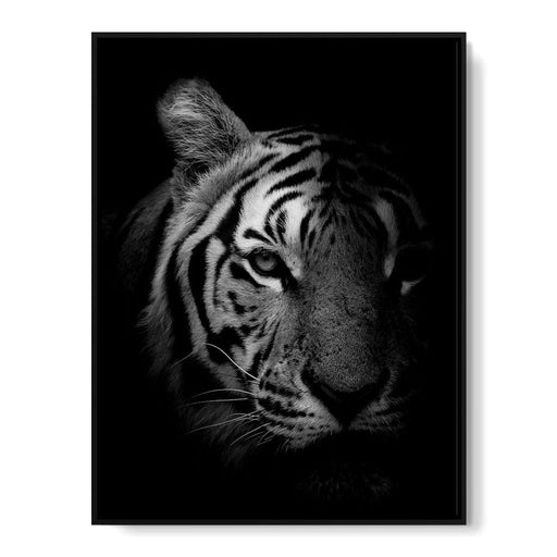 Black and White Fading Tiger Canvas Print