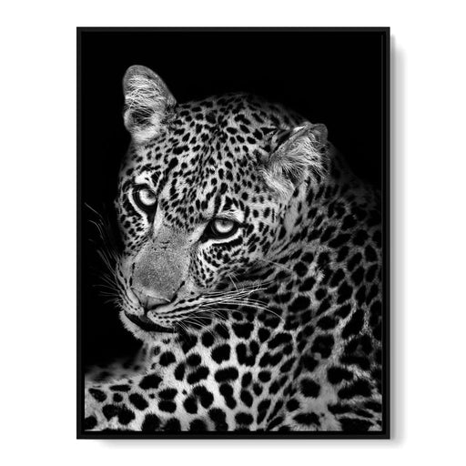 Black & White Animals Wall Art | NicheCanvas