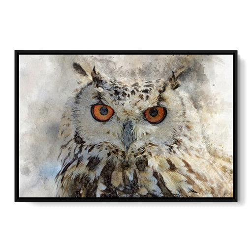 Eurasian Owl Canvas Print