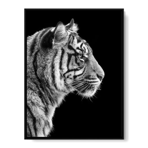 Black and White Sumatran Tiger Canvas Print