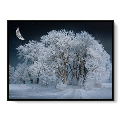 Winter Snow Forest - Johanjjf Canvas Print
