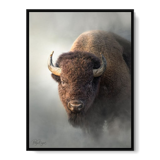 Bison 1 - Patsy Weingart Canvas Print