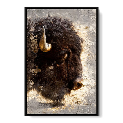 American Bison Canvas Print