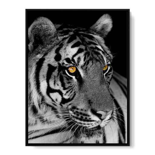Black and White Tiger with Yellow Eyes Canvas Print