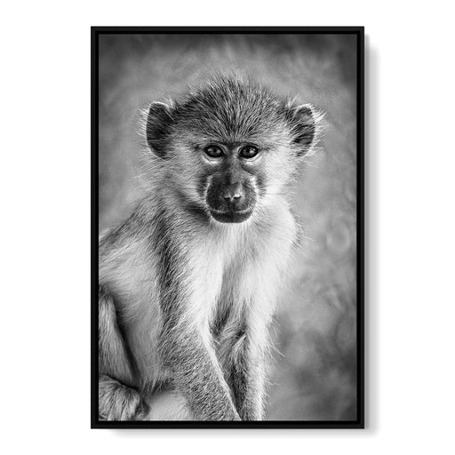 Monkey in Black & White Canvas Print