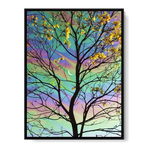 Albus - Cajuca Canvas Print