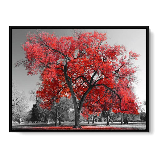 Big Red Tree Canvas Print