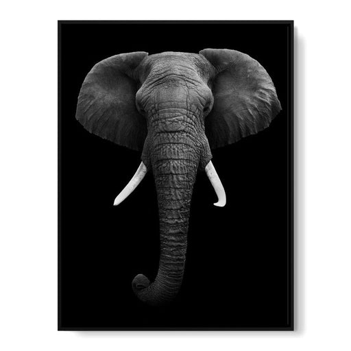 Black and White Elephant Face Canvas Print